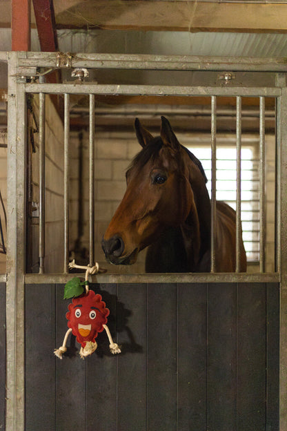 Excellent Horse Foodie Friends Raspberry
