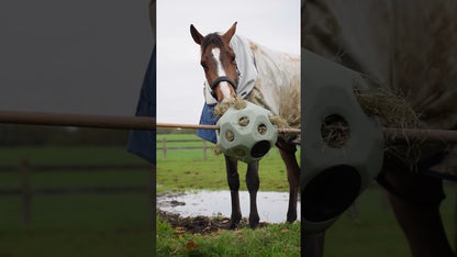 Excellent Horse Feed & Play Ball Paars