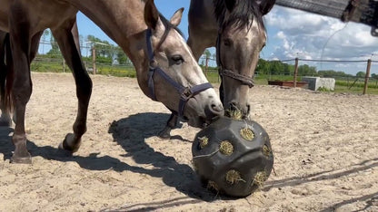 Excellent Horse Feed & Play Ball Zwart