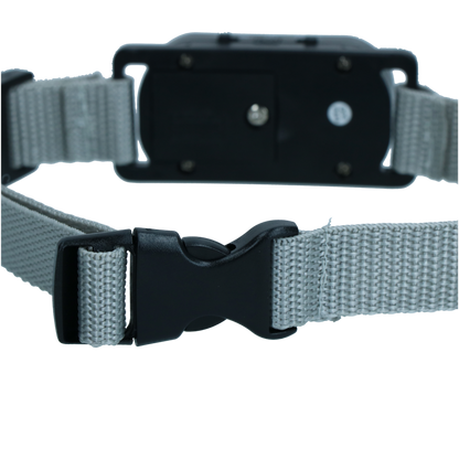 Excellent Pets Bark-Stop Collar