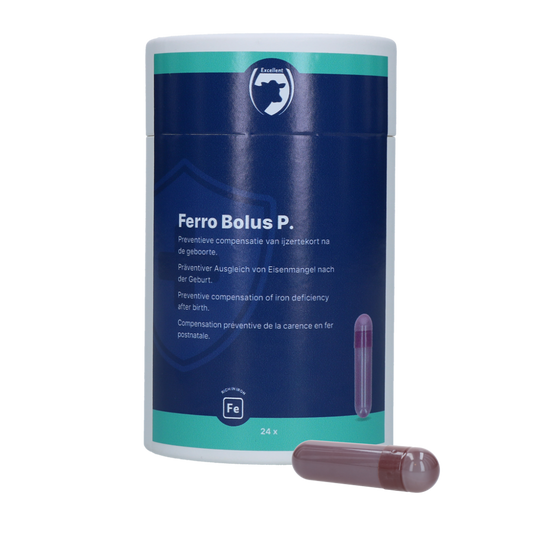 Excellent Ferro Bolus P 24 x 8,5 g