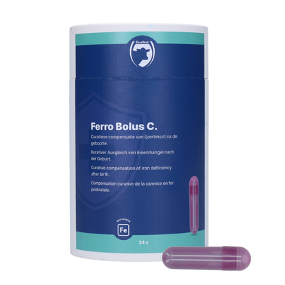 Excellent Ferro Bolus C 24 x 9,5 g