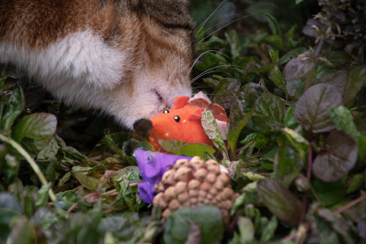 Forest Friends Mouse Oranje