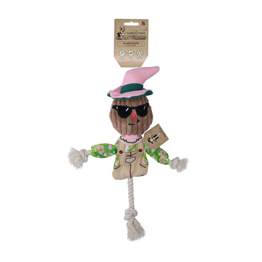 Garden Paws Scarecrow Scary Harry S