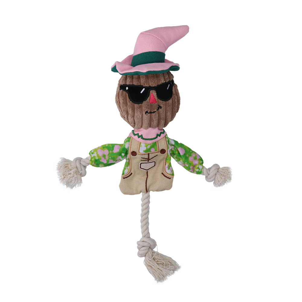 Garden Paws Scarecrow Scary Harry S