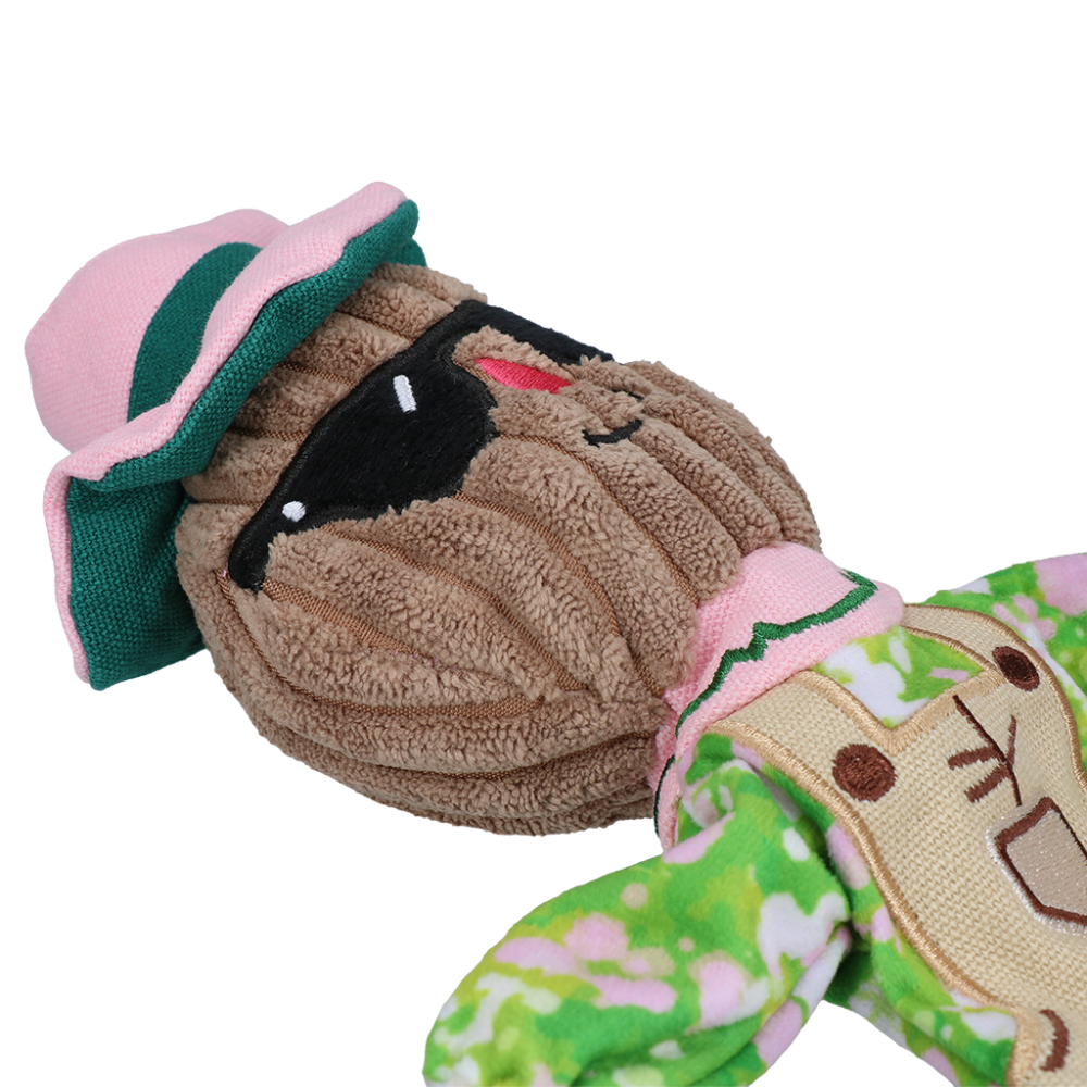 Garden Paws Scarecrow Scary Harry S