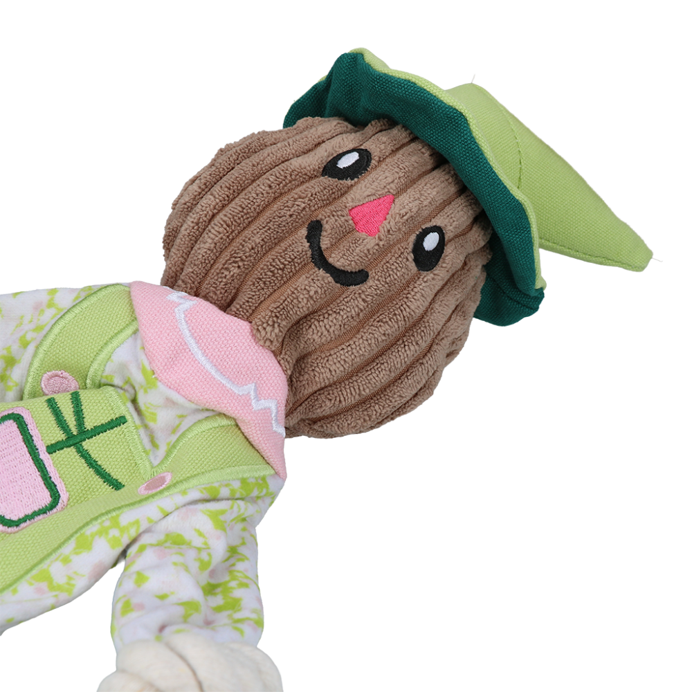 Garden Paws Scarecrow Indy Fields M