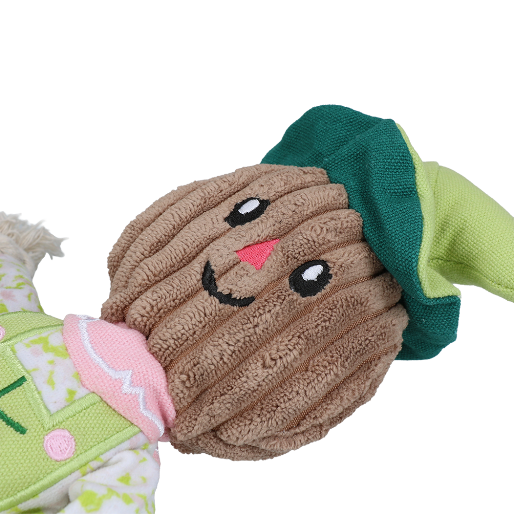 Garden Paws Scarecrow Indy Fields S