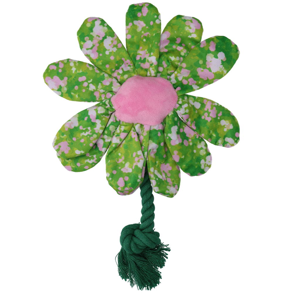 Garden Paws Flower Summer Shrubs M