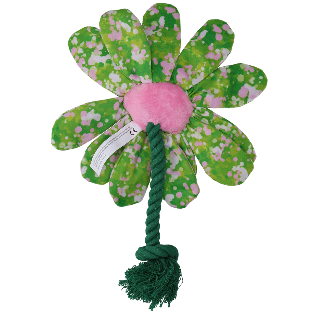 Garden Paws Flower Summer Shrubs M