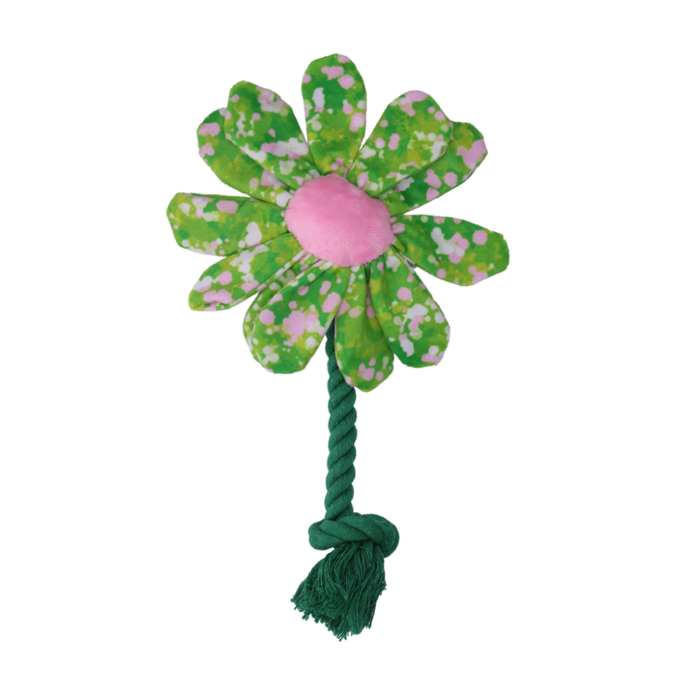 Garden Paws Flower Summer Shrubs S