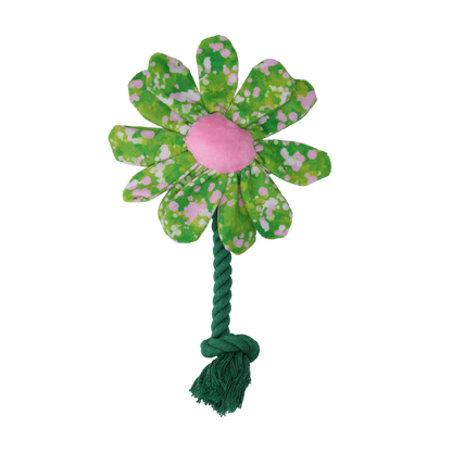 Garden Paws Flower Summer Shrubs S