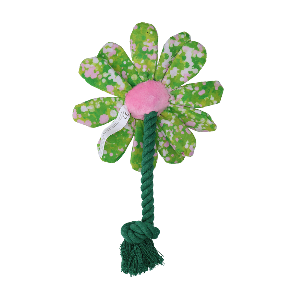 Garden Paws Flower Summer Shrubs S