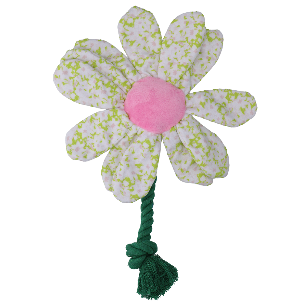 Garden Paws Flower Spring Sakura M