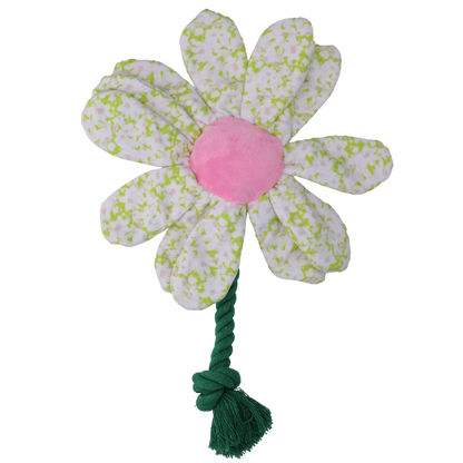 Garden Paws Flower Spring Sakura M
