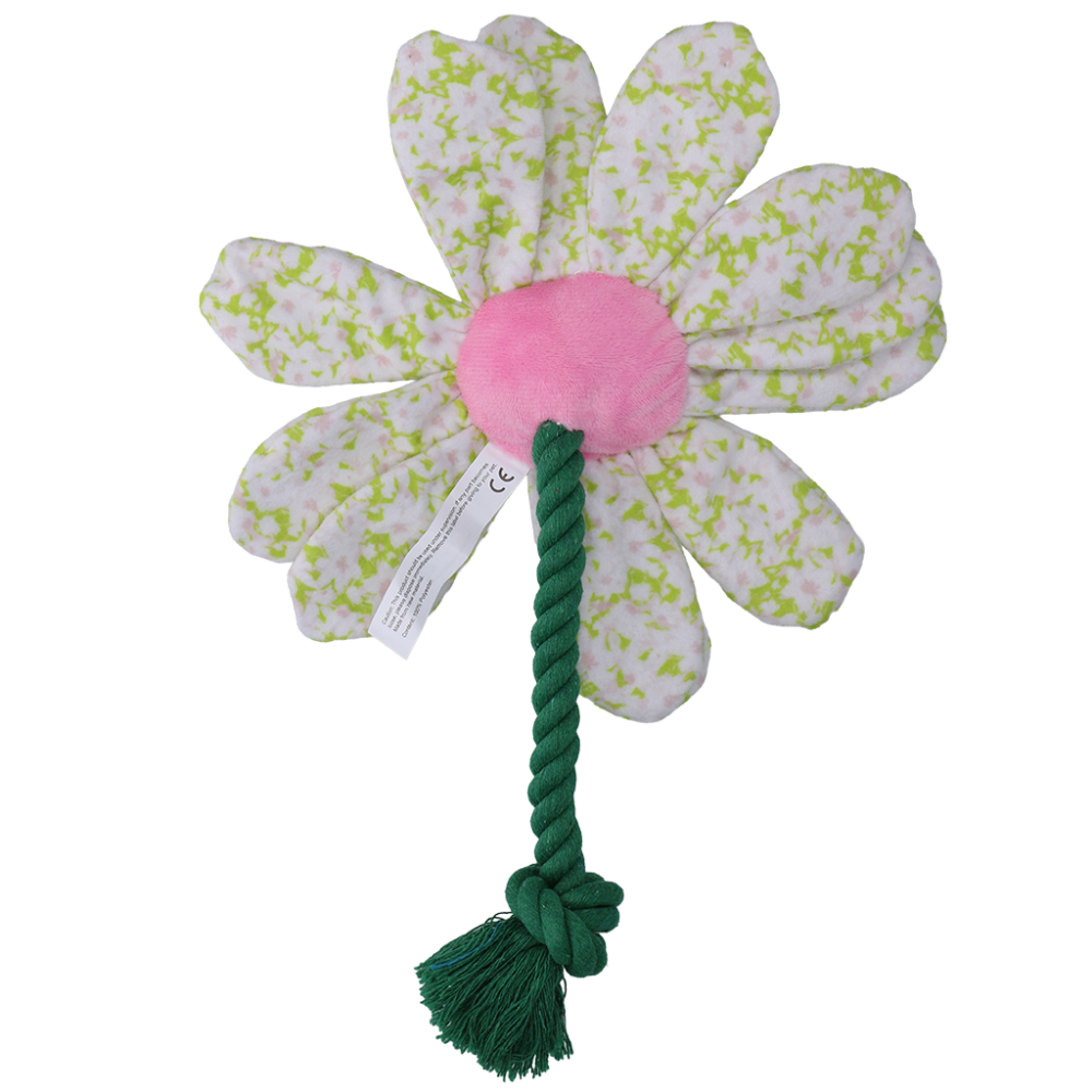 Garden Paws Flower Spring Sakura M