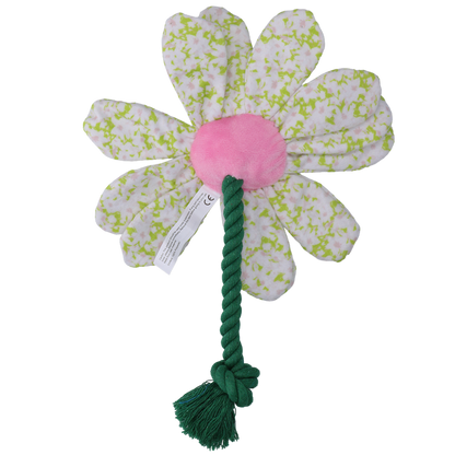 Garden Paws Flower Spring Sakura M