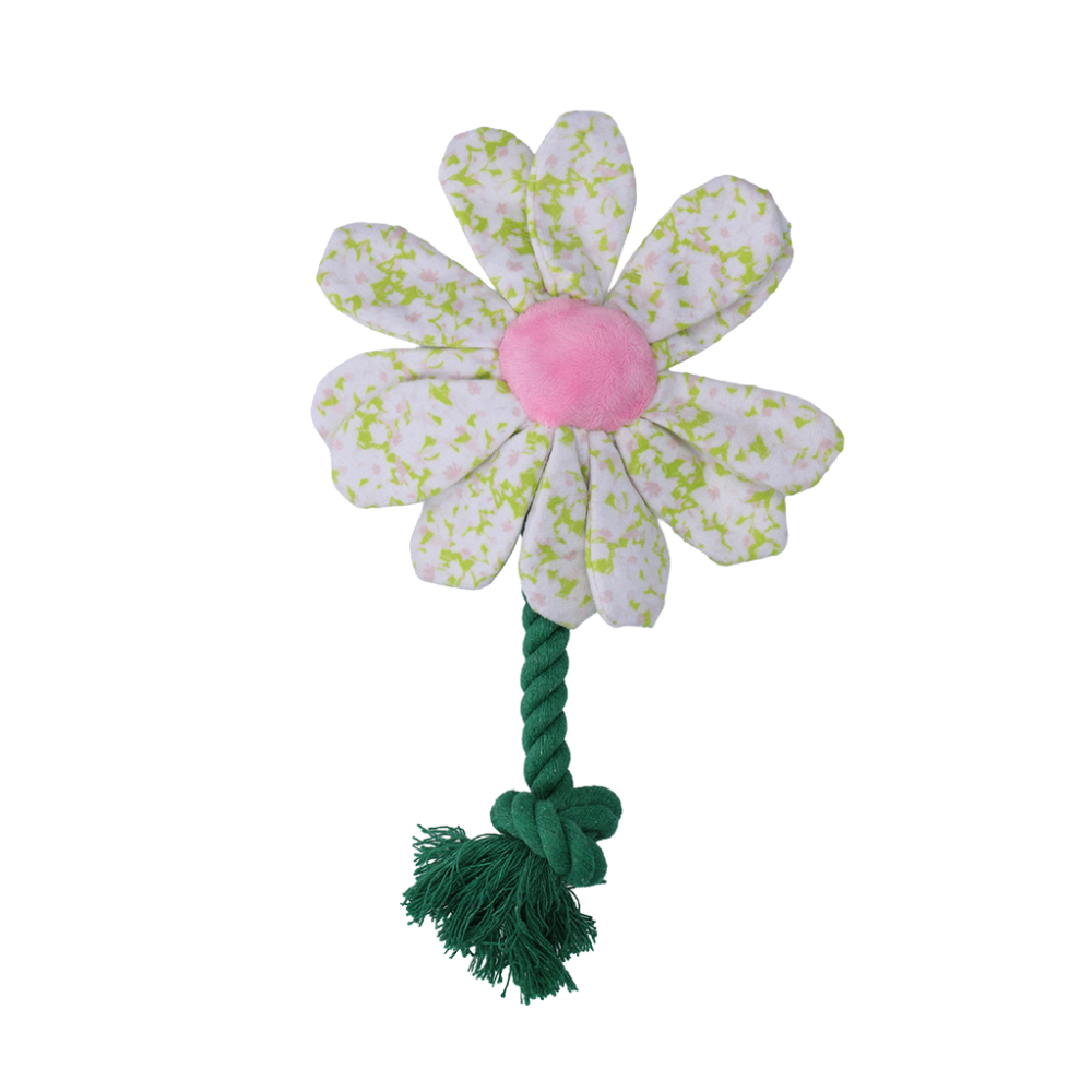 Garden Paws Flower Spring Sakura S