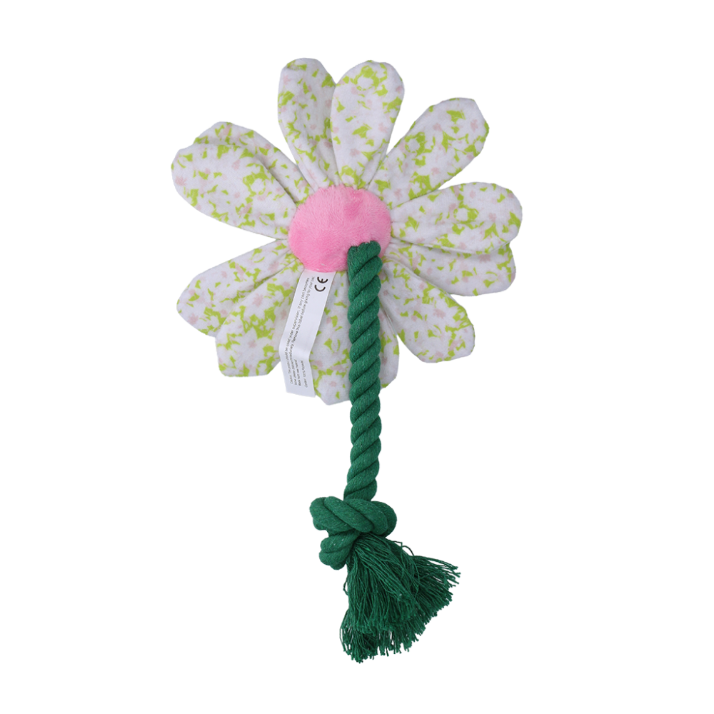 Garden Paws Flower Spring Sakura S