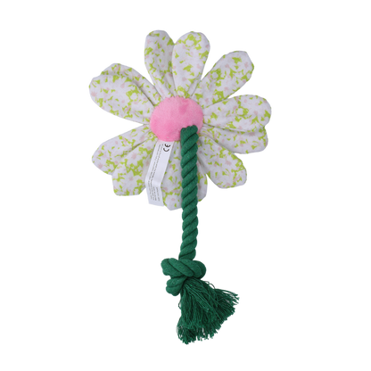Garden Paws Flower Spring Sakura S