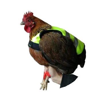 Gaun Pluimvee Kippen Vest