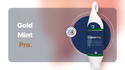 Excellent Gold Mint Pro Sta-/Hangtube 500 ml