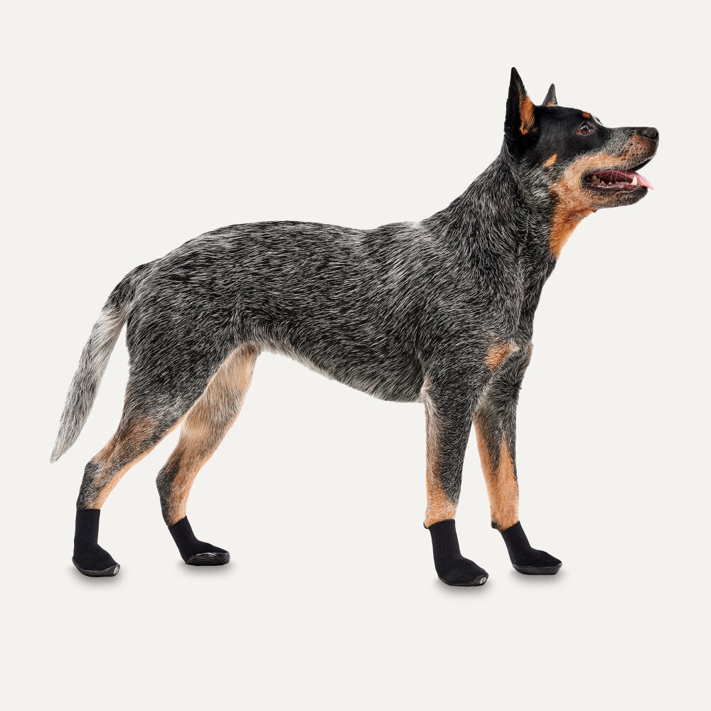 Goo-eez Dog Boots Ultras 2 Per Pack XS Zwart