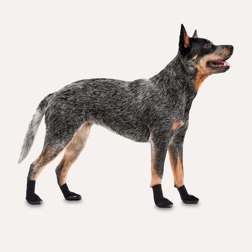 Goo-eez Dog Boots Lites 4 Per Pack XS Zwart