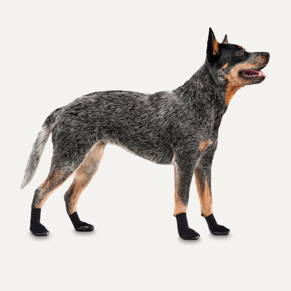 Goo-eez Dog Boots Lites 4 Per Pack XS Zwart