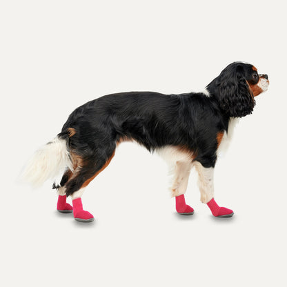 Goo-eez Dog Boots Lites 4 Per Pack XXL Rood/Zwart