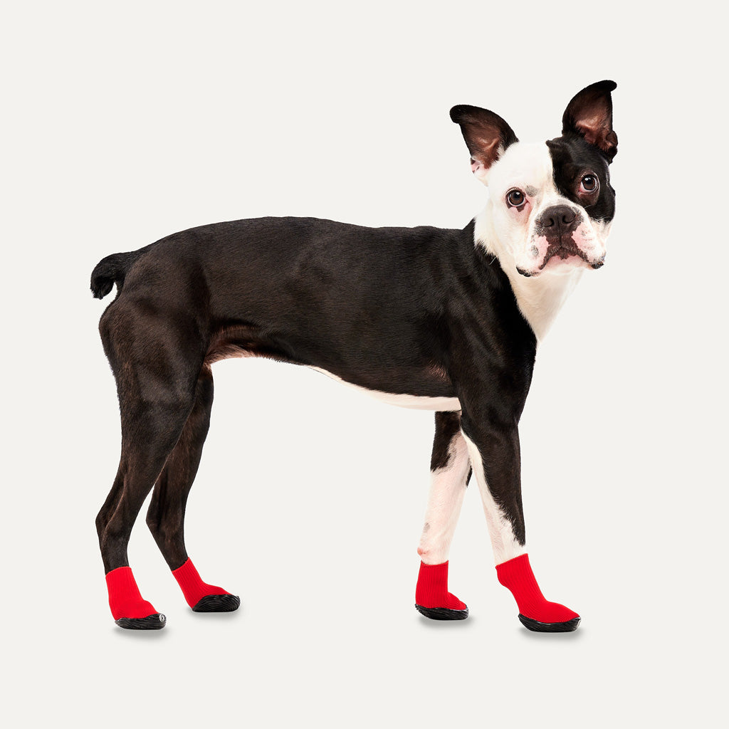 Goo-eez Dog Boots Lites 4 Per Pack XXL Rood/Zwart