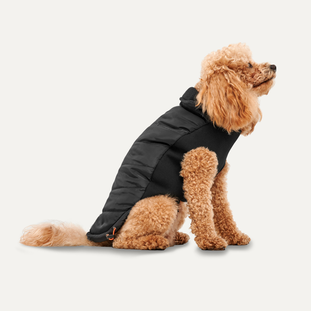 Goo-eez Mock Neck Signature Wrap Jacket XXS Zwart