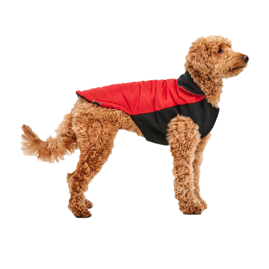 Goo-eez Mock Neck Signature Wrap Jacket XXS Rood/Zwart