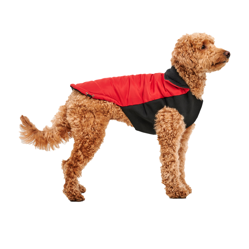 Goo-eez Mock Neck Signature Wrap Jacket M Rood/Zwart