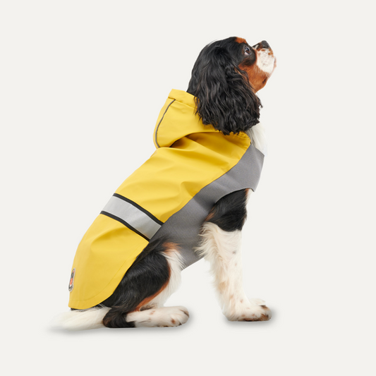 Goo-eez Reflective Hooded Raincoat M Geel/Grijs