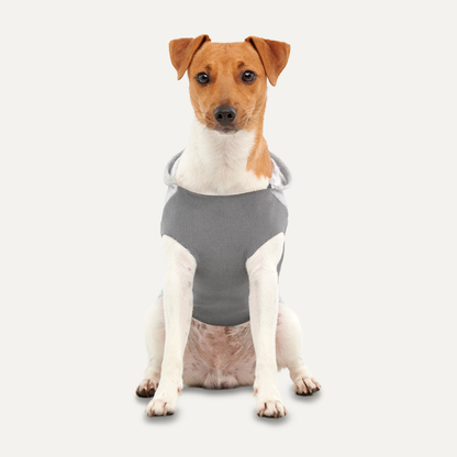 Goo-eez Kangaroo Fleece Hoodie L Grijs