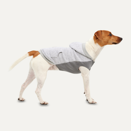 Goo-eez Kangaroo Fleece Hoodie XXL Grijs
