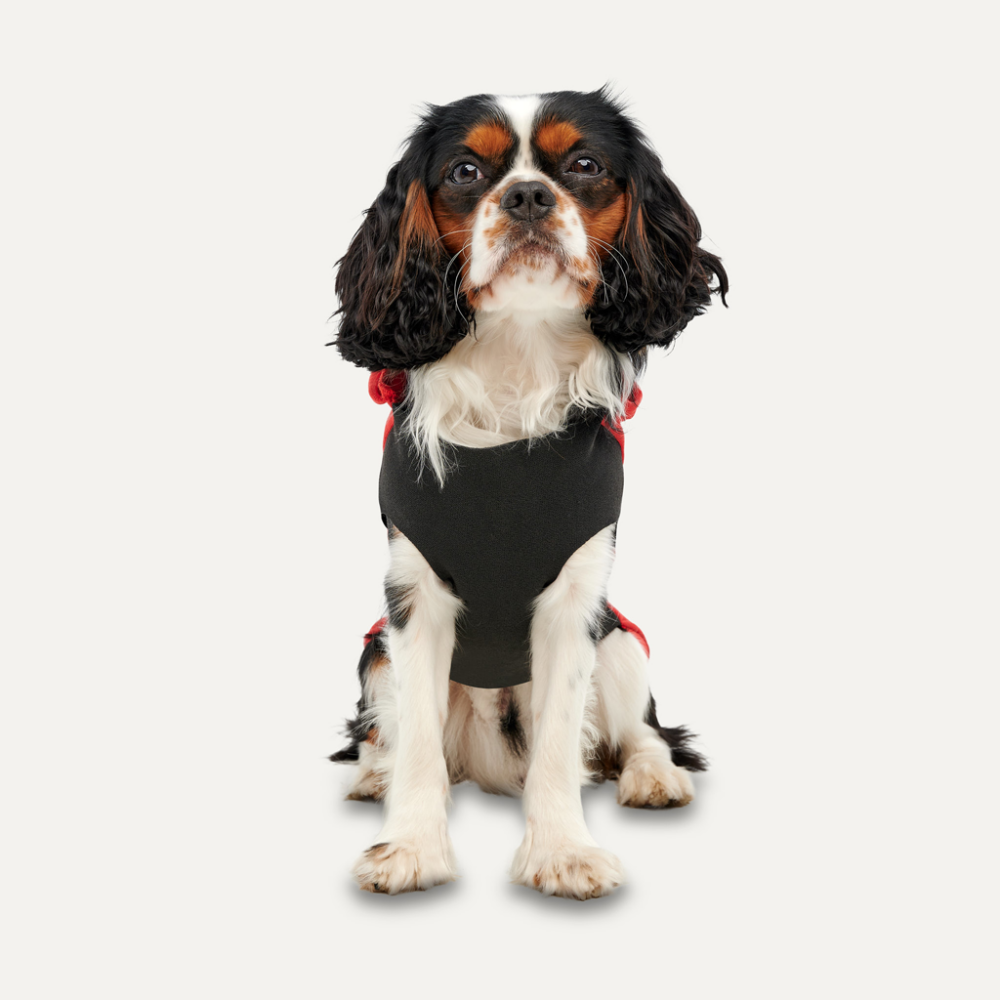 Goo-eez Kangaroo Fleece Hoodie S Rood/Zwart