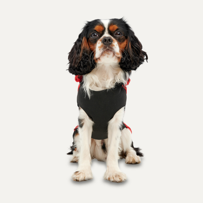 Goo-eez Kangaroo Fleece Hoodie L Rood/Zwart