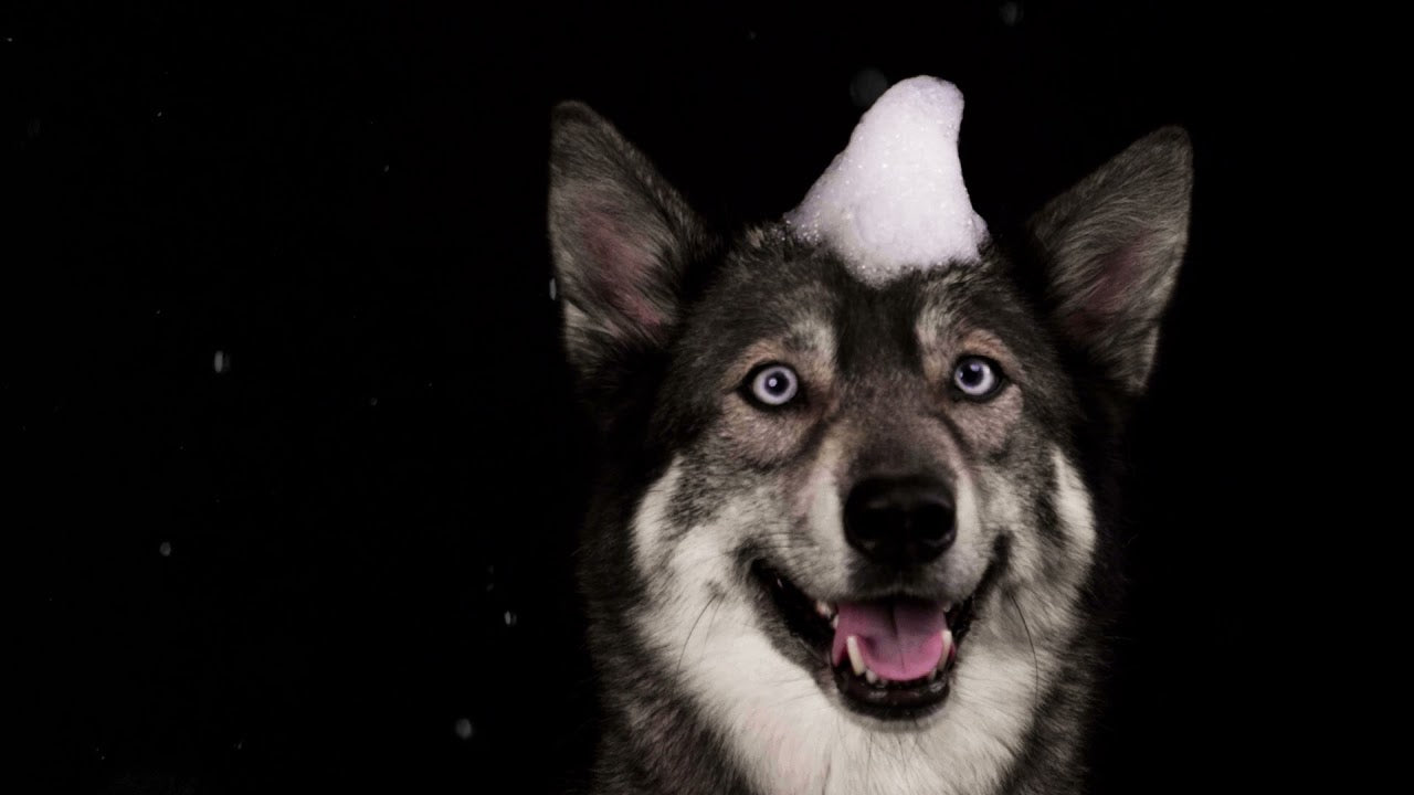 Groomers Secret Shampoo Bar Appel