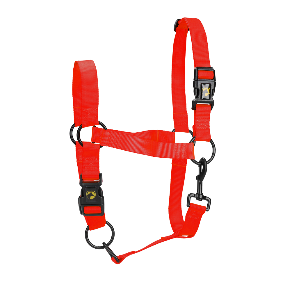 Excellent Essential Halster Rood S