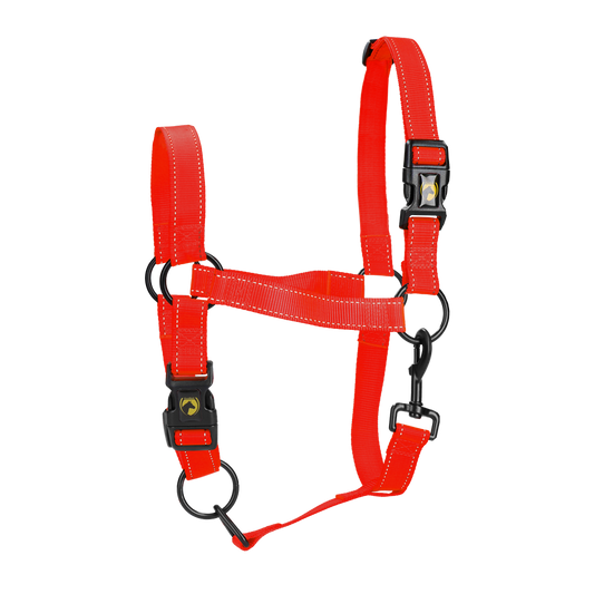 Excellent Premium Halster Rood L
