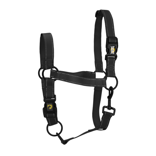 Excellent Premium Halster Zwart XL