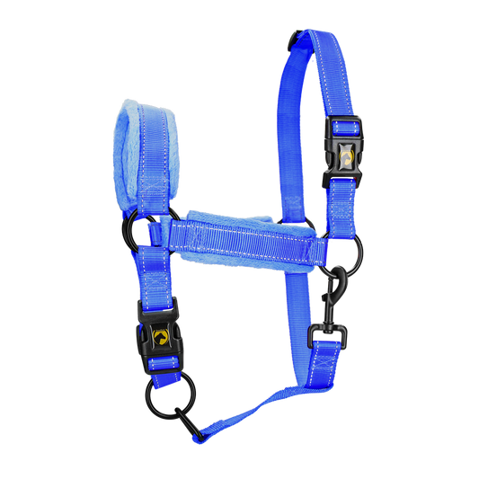 Excellent Superior Halster Blauw L