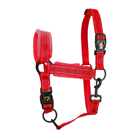 Excellent Superior Halster Rood XL