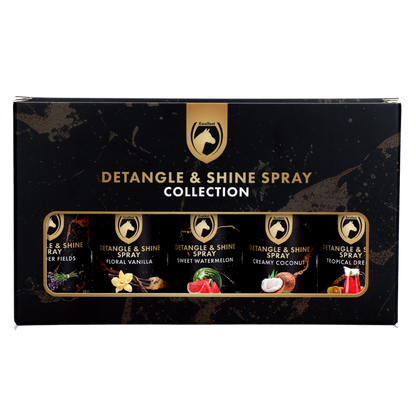 Detangle & Shine Spray Geschenkset 5 x 50 ML