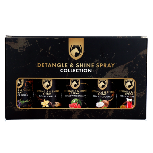 Detangle & Shine Spray Geschenkset 5 x 50 ML