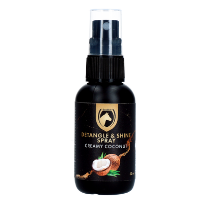 Detangle & Shine Spray Geschenkset 5 x 50 ML