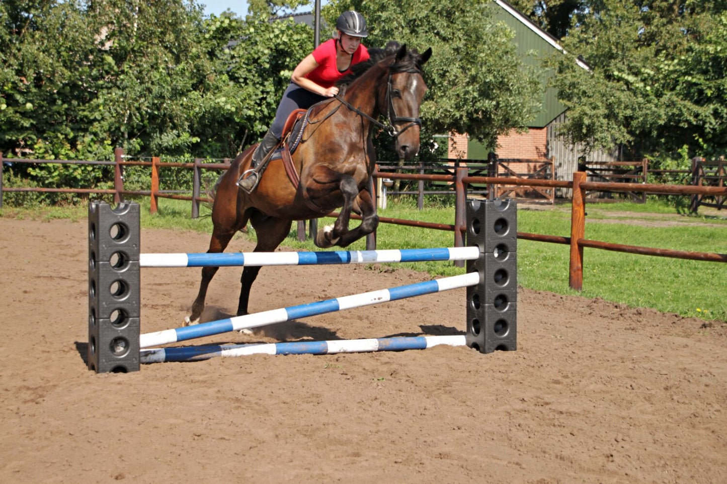 Excellent Horse Cube