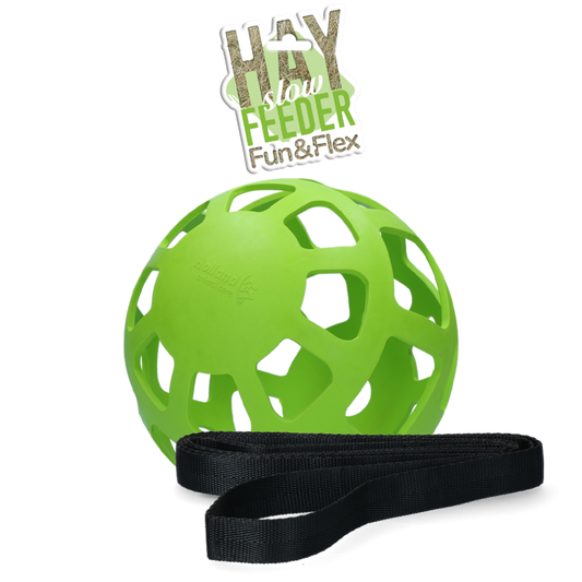 Hay Slow Feeder Fun & Flex Groen